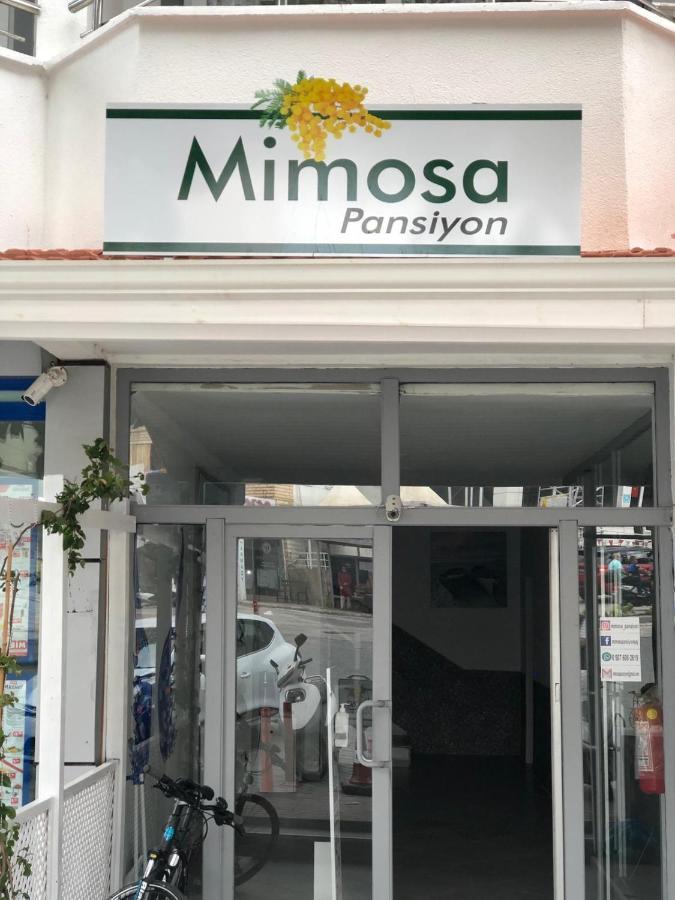 Mimosa Pension Kas Bagian luar foto