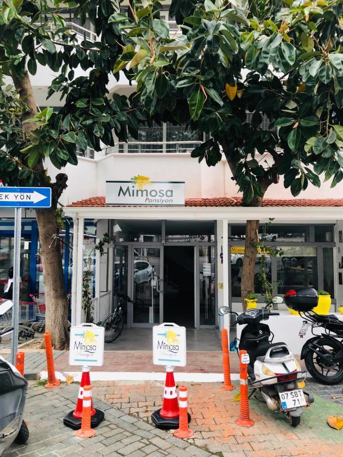 Mimosa Pension Kas Bagian luar foto