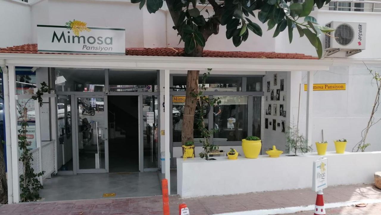 Mimosa Pension Kas Bagian luar foto